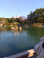IMG_2025-03-20-16-04-18-524_thumb.png