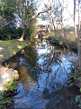 IMG_2025-03-20-16-27-21-605_thumb.png