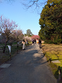 IMG_2025-03-20-16-27-36-512_thumb.png