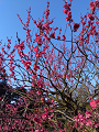 IMG_2025-03-20-16-28-42-229_thumb.png