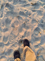 IMG_2025-03-20-17-52-20-627_thumb.png