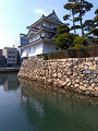 IMG_2025-03-21-10-35-20-443_thumb.png