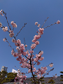 IMG_2025-03-21-10-48-25-460_thumb.png