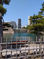 IMG_2025-03-21-10-59-23-737_thumb.png