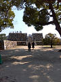 IMG_2025-03-21-11-18-12-354_thumb.png