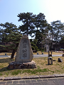 IMG_2025-03-21-11-29-37-342_thumb.png