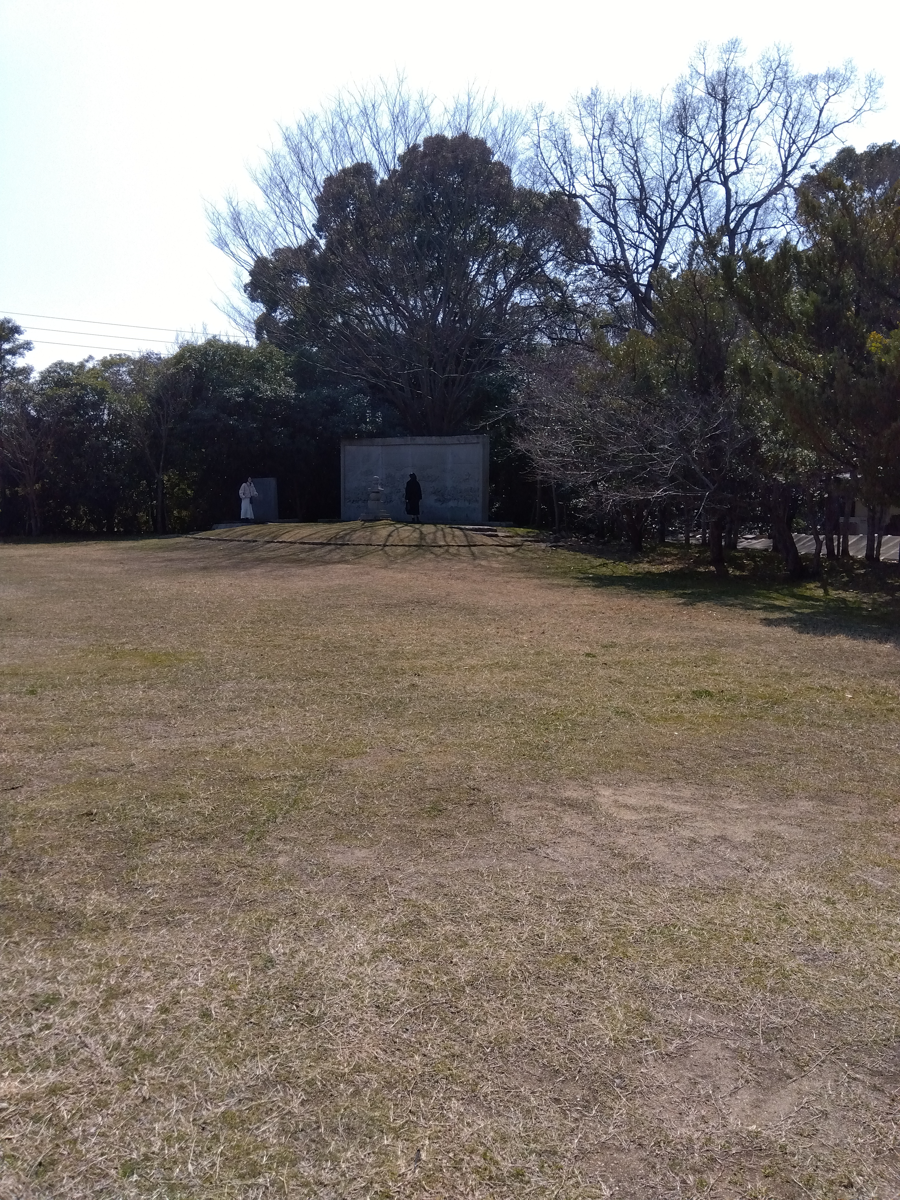 IMG_2025-03-21-13-19-55-451.jpg