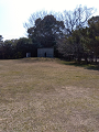 IMG_2025-03-21-13-19-55-451_thumb.png