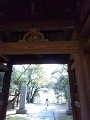 IMG_2025-03-21-13-40-01-030_thumb.png