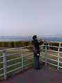 IMG_2025-03-21-16-46-04-202_thumb.png