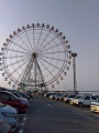 IMG_2025-03-21-17-06-22-073_thumb.png