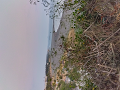 IMG_2024-01-12-18-21-46-011_thumb.png