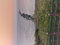 IMG_2024-01-12-18-26-14-882_thumb.png