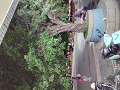 IMG_2024-01-12-19-41-33-111_thumb.png