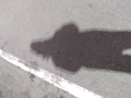 IMG_2024-01-12-20-42-17-300_thumb.png