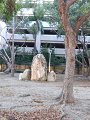 IMG_2024-01-13-10-02-50-432_thumb.png