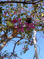 IMG_2024-01-13-10-21-25-798_thumb.png