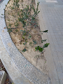 IMG_2024-01-13-16-06-48-097_thumb.png