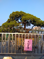 IMG_2024-01-13-17-35-45-616_thumb.png