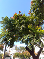 IMG_2024-01-14-10-37-48-710_thumb.png