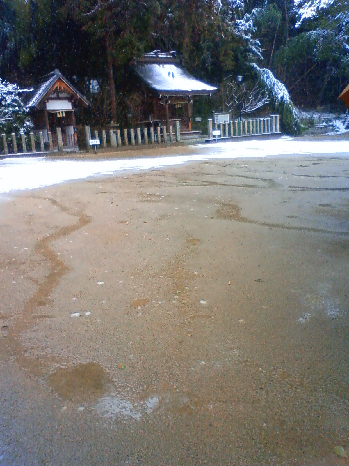 NEC_0313.JPG