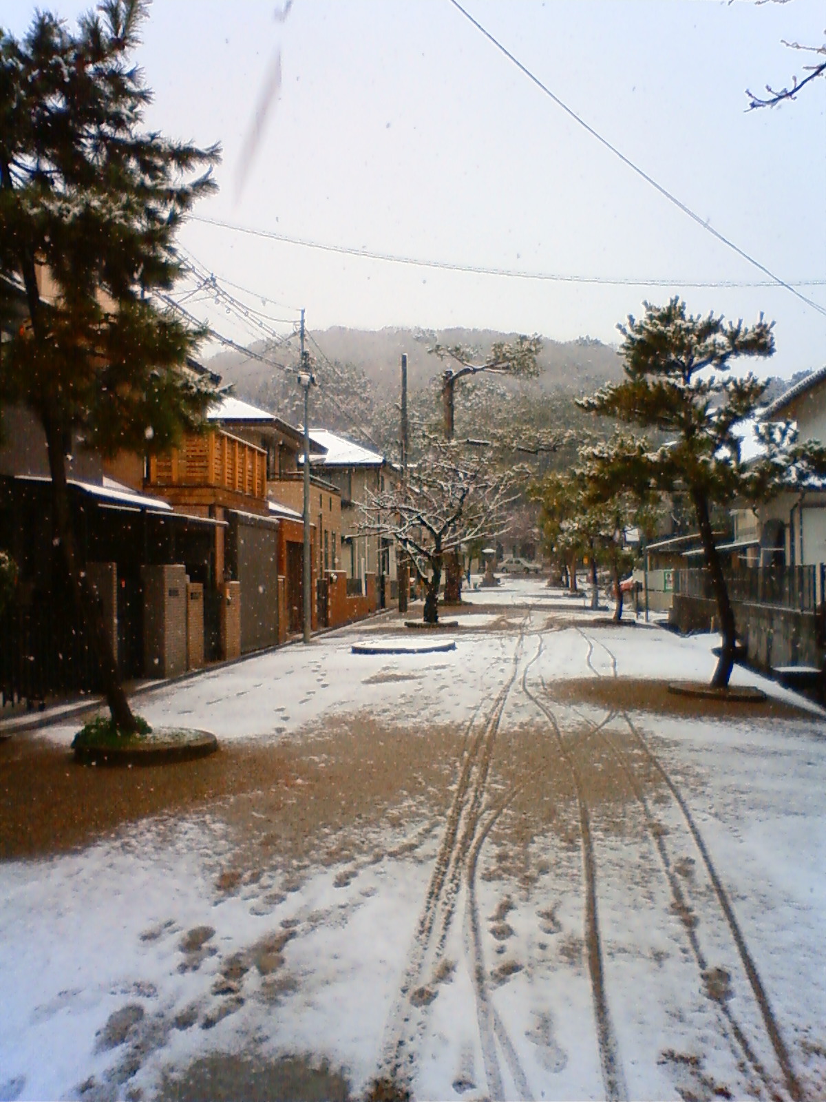 NEC_0323.JPG