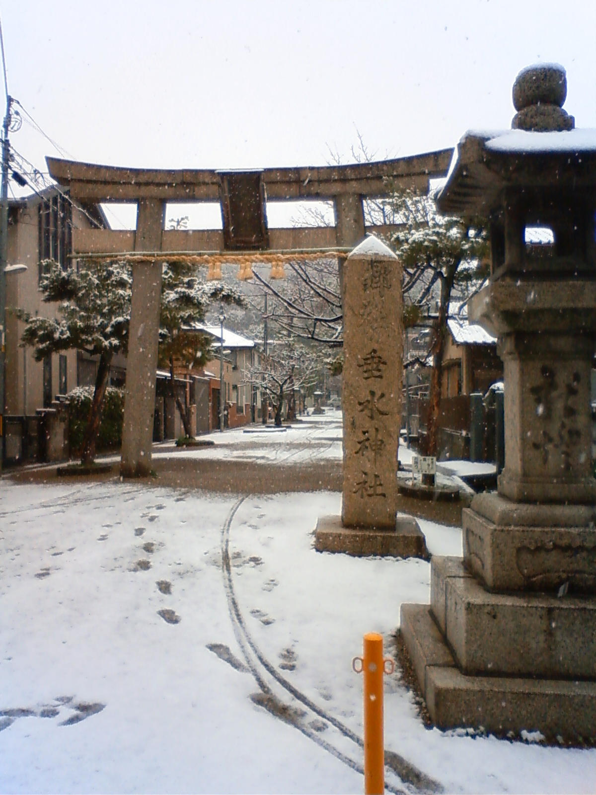 NEC_0324.JPG
