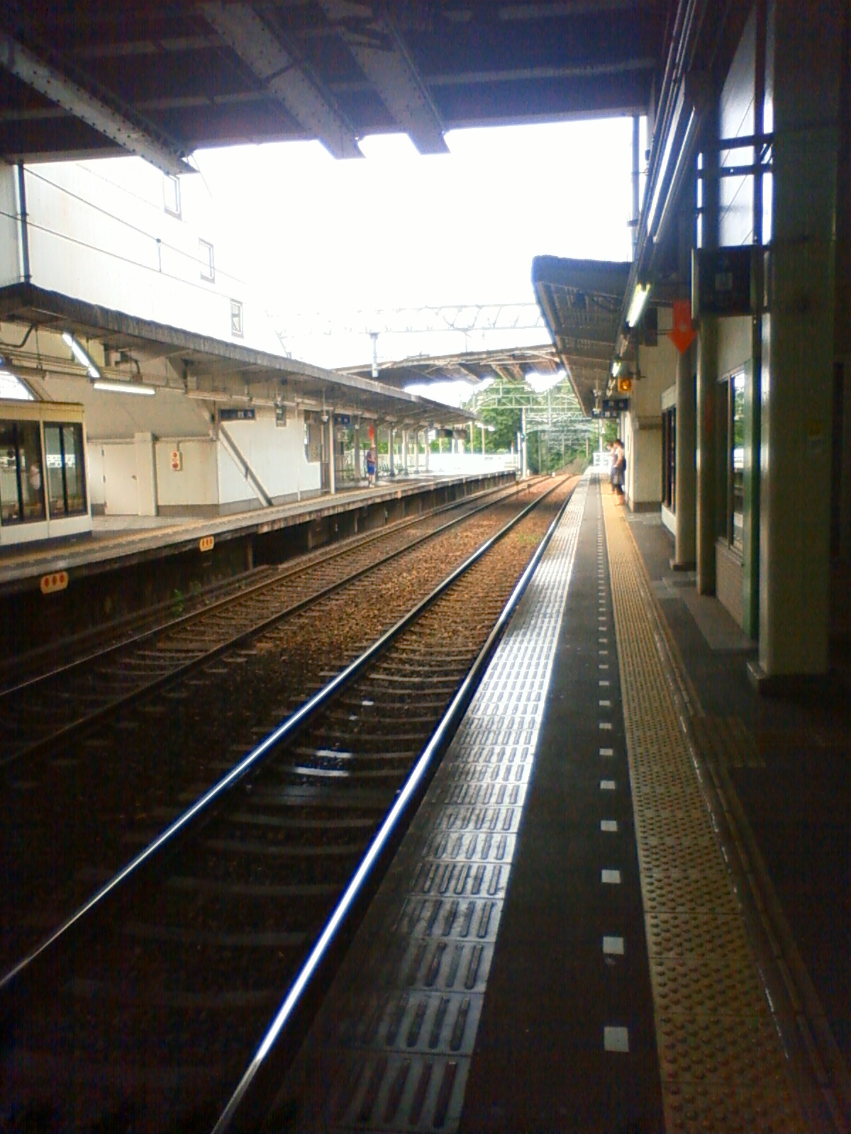 NEC_0821.JPG