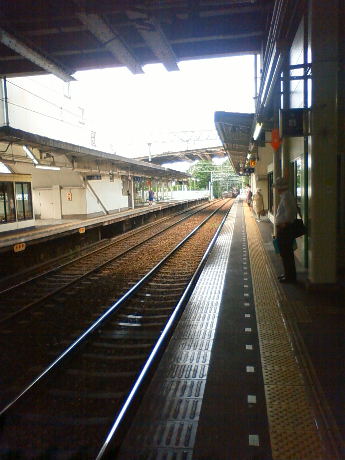 NEC_0822.JPG