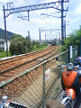 NEC_0825_thumb.png