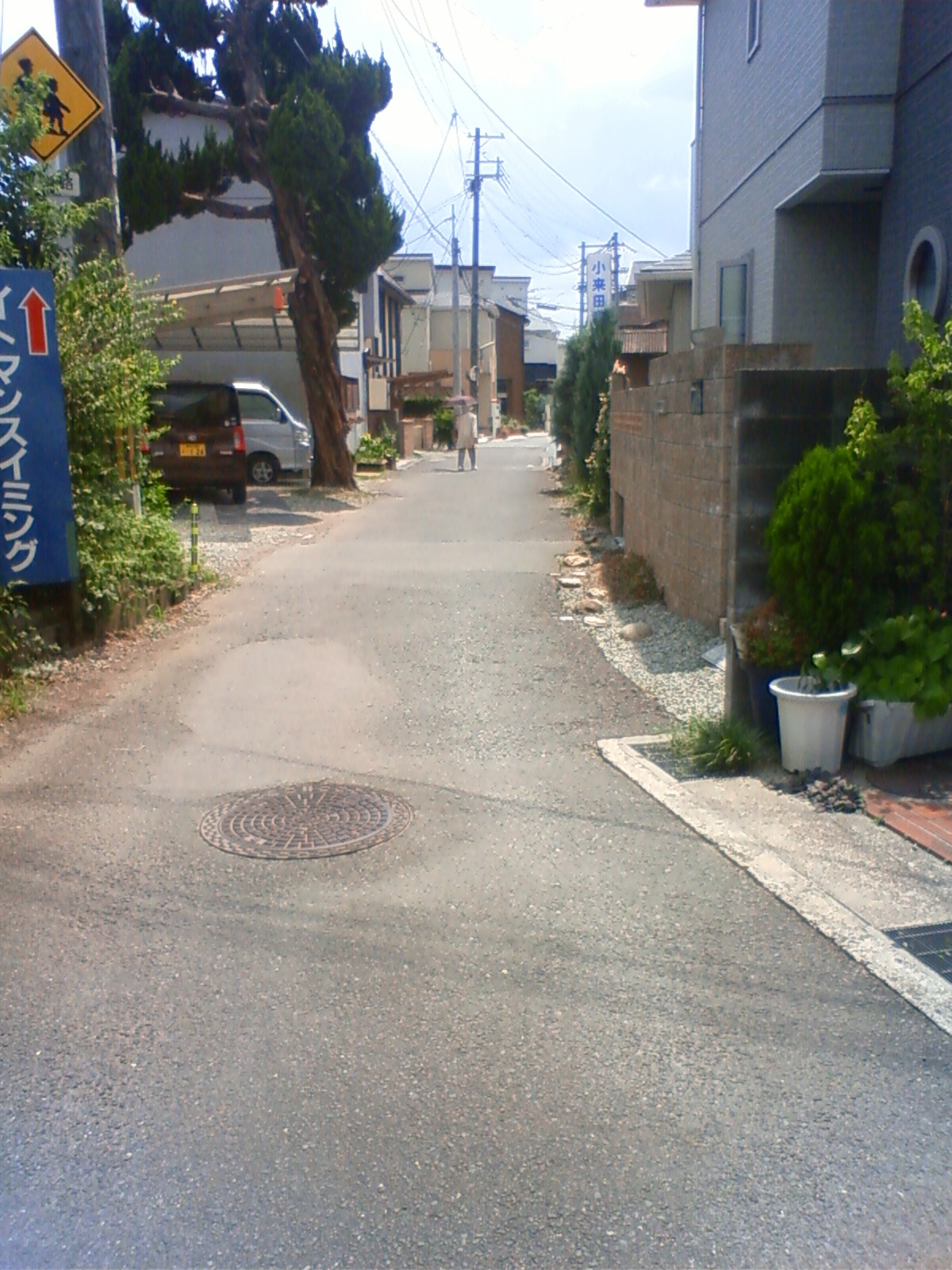 NEC_0826.JPG