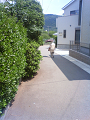 NEC_0827_thumb.png