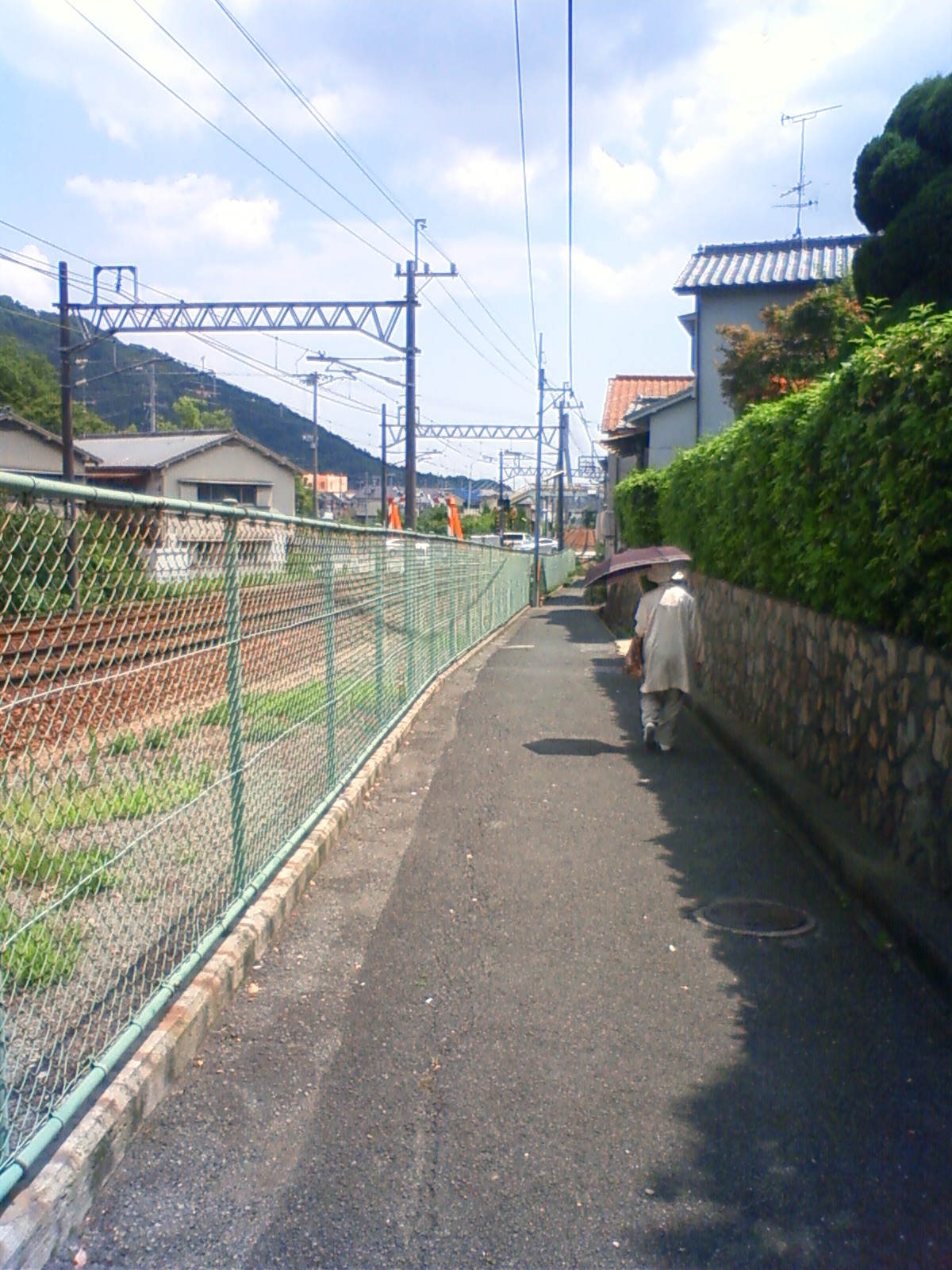 NEC_0828.JPG