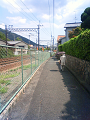 NEC_0828_thumb.png