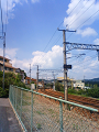 NEC_0829_thumb.png