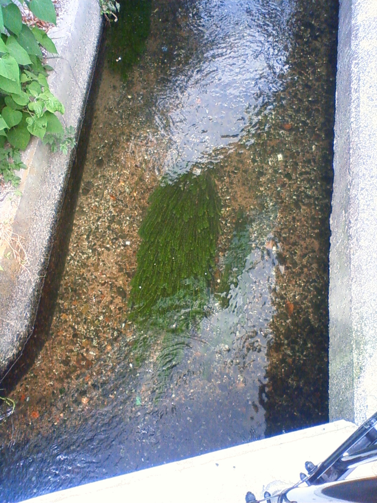 NEC_0830.JPG