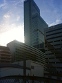 NEC_0956_thumb.png