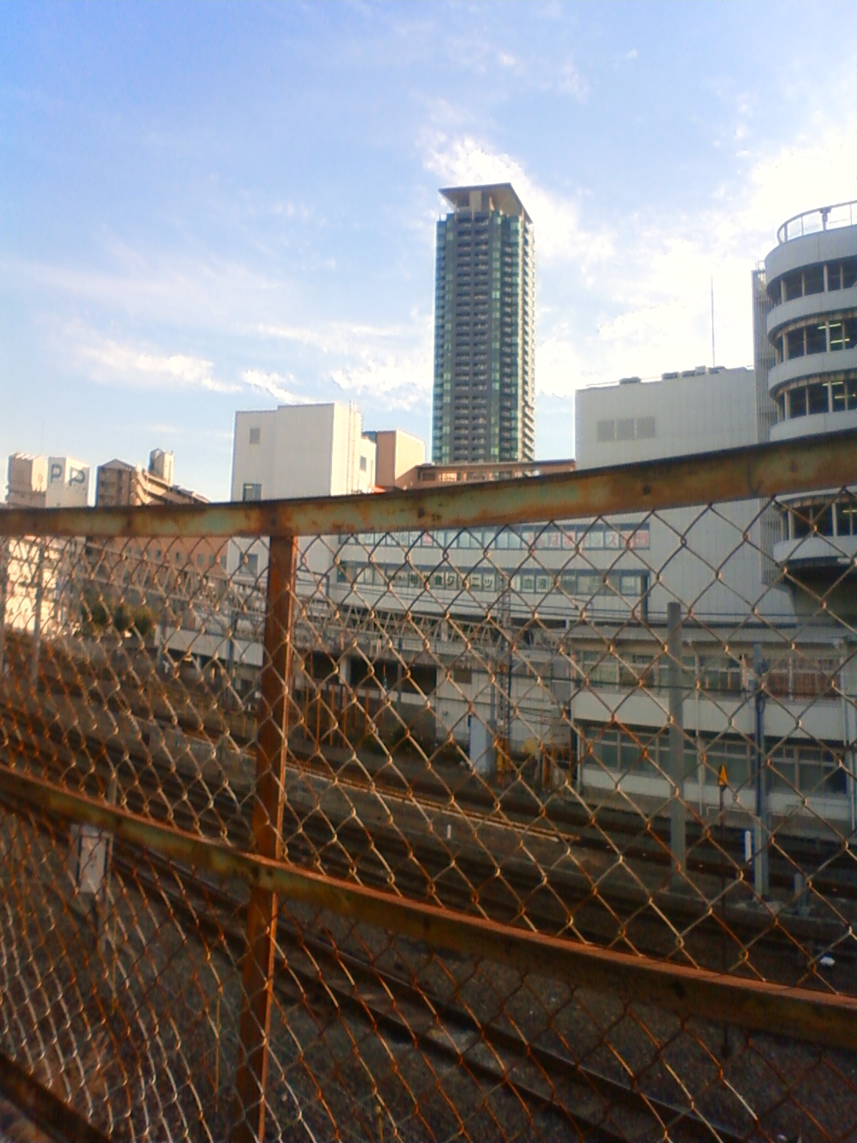 NEC_0959.JPG