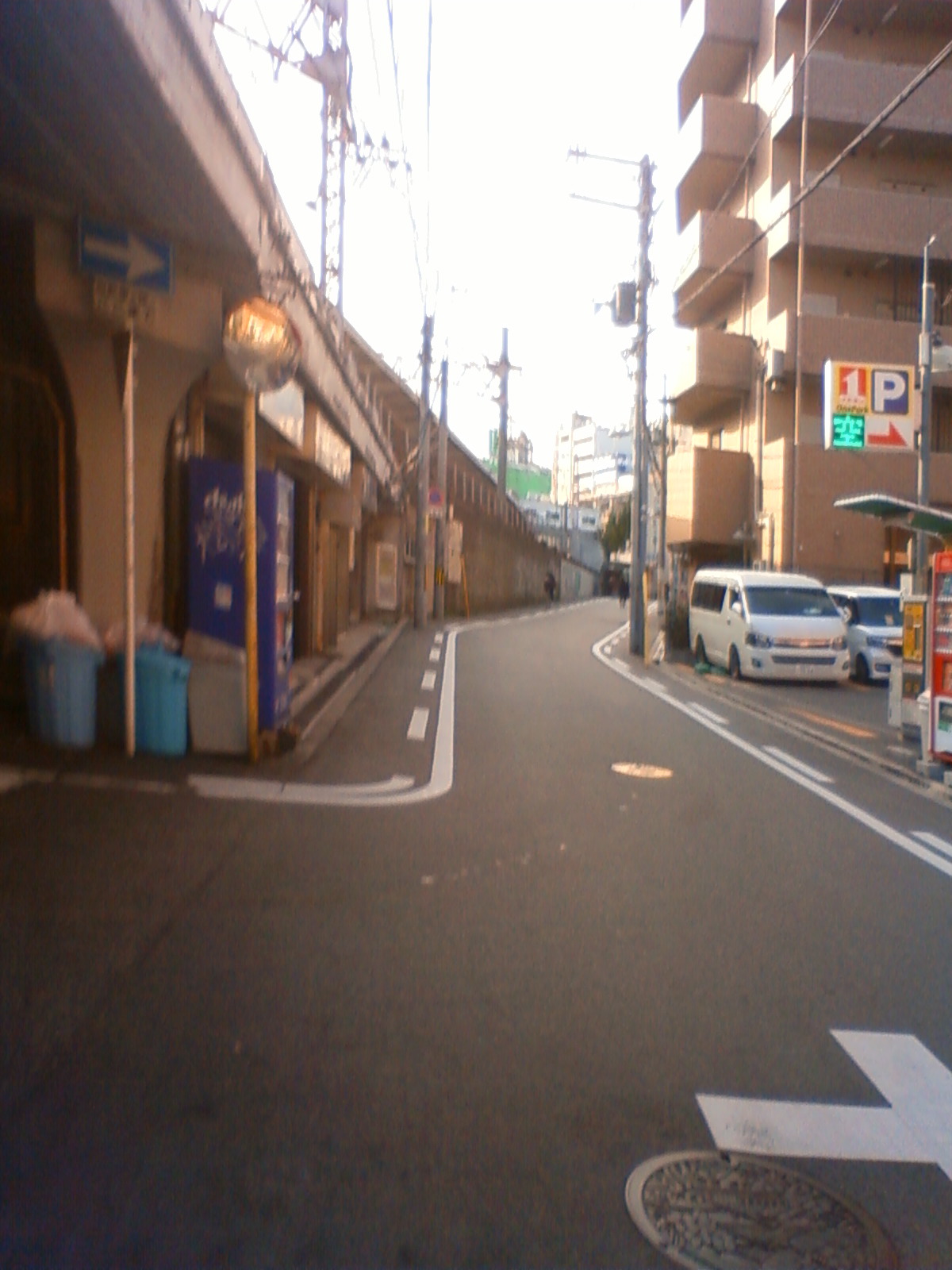 NEC_0960.JPG