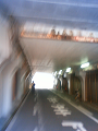 NEC_0961_thumb.png