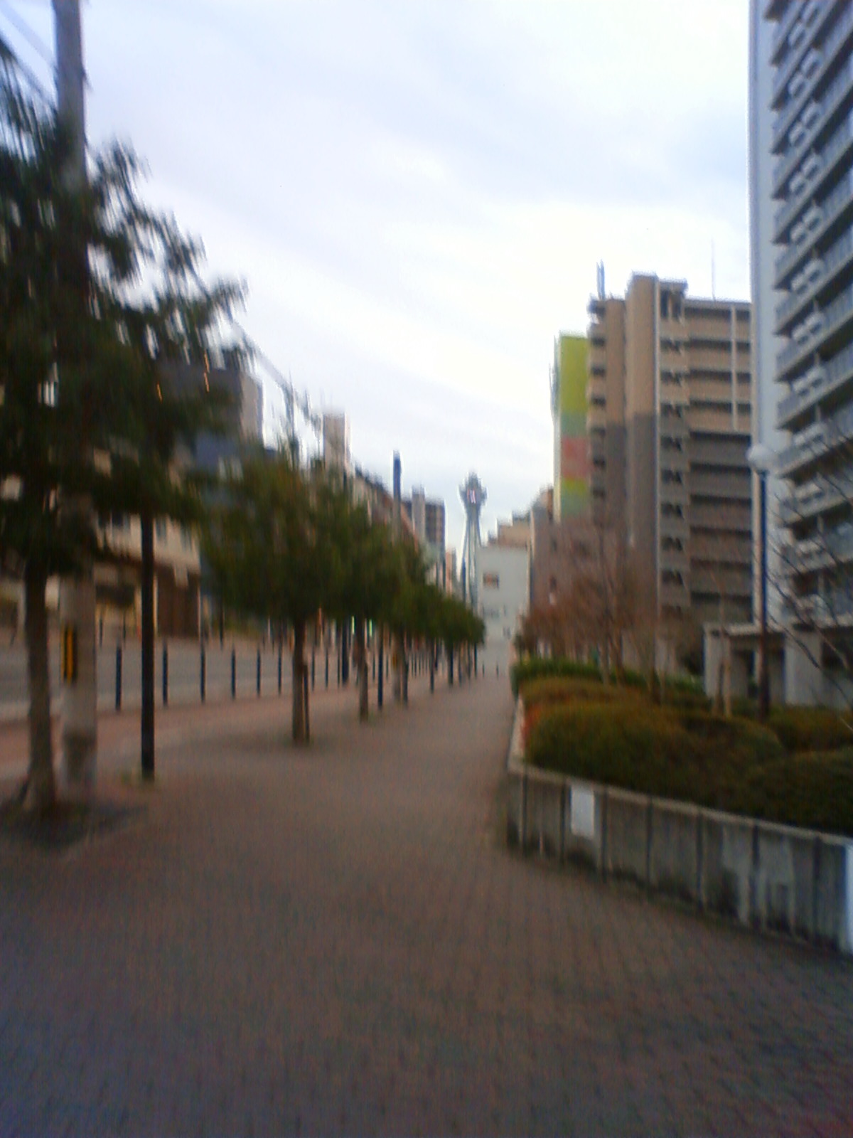 NEC_0963.JPG
