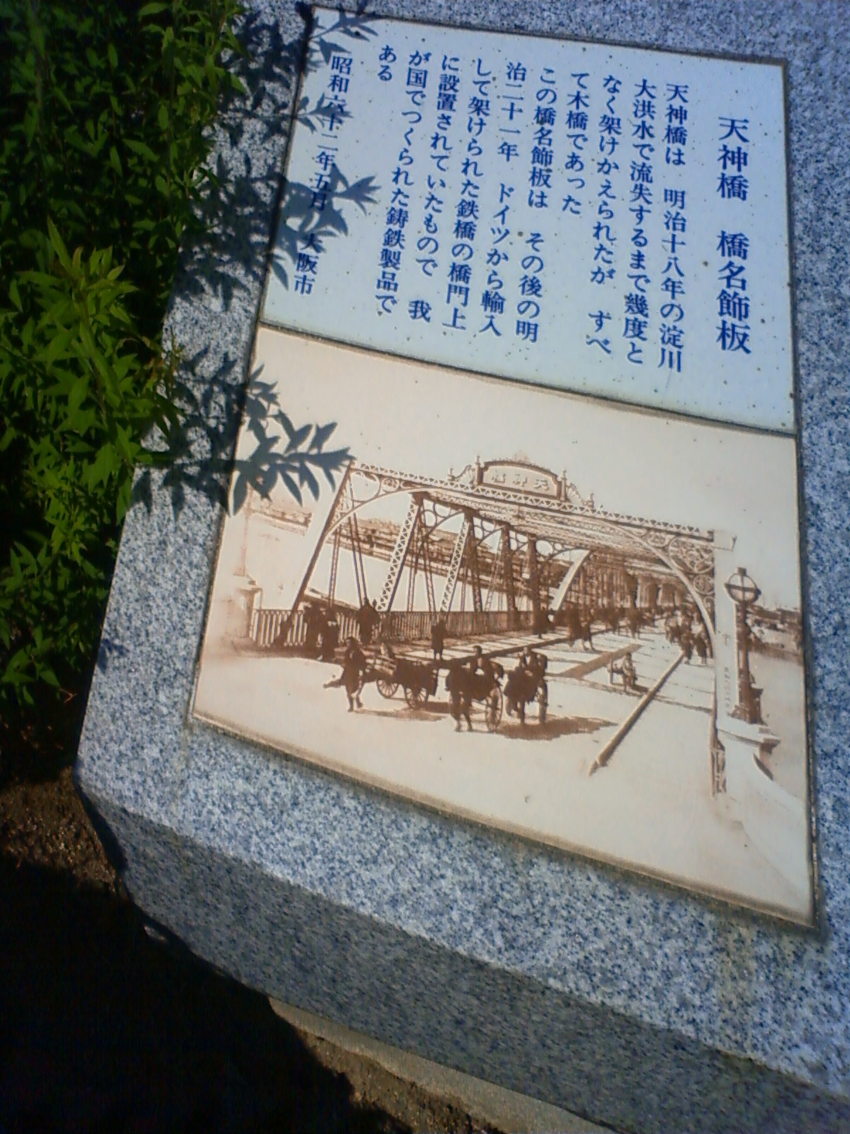 NEC_1103.JPG
