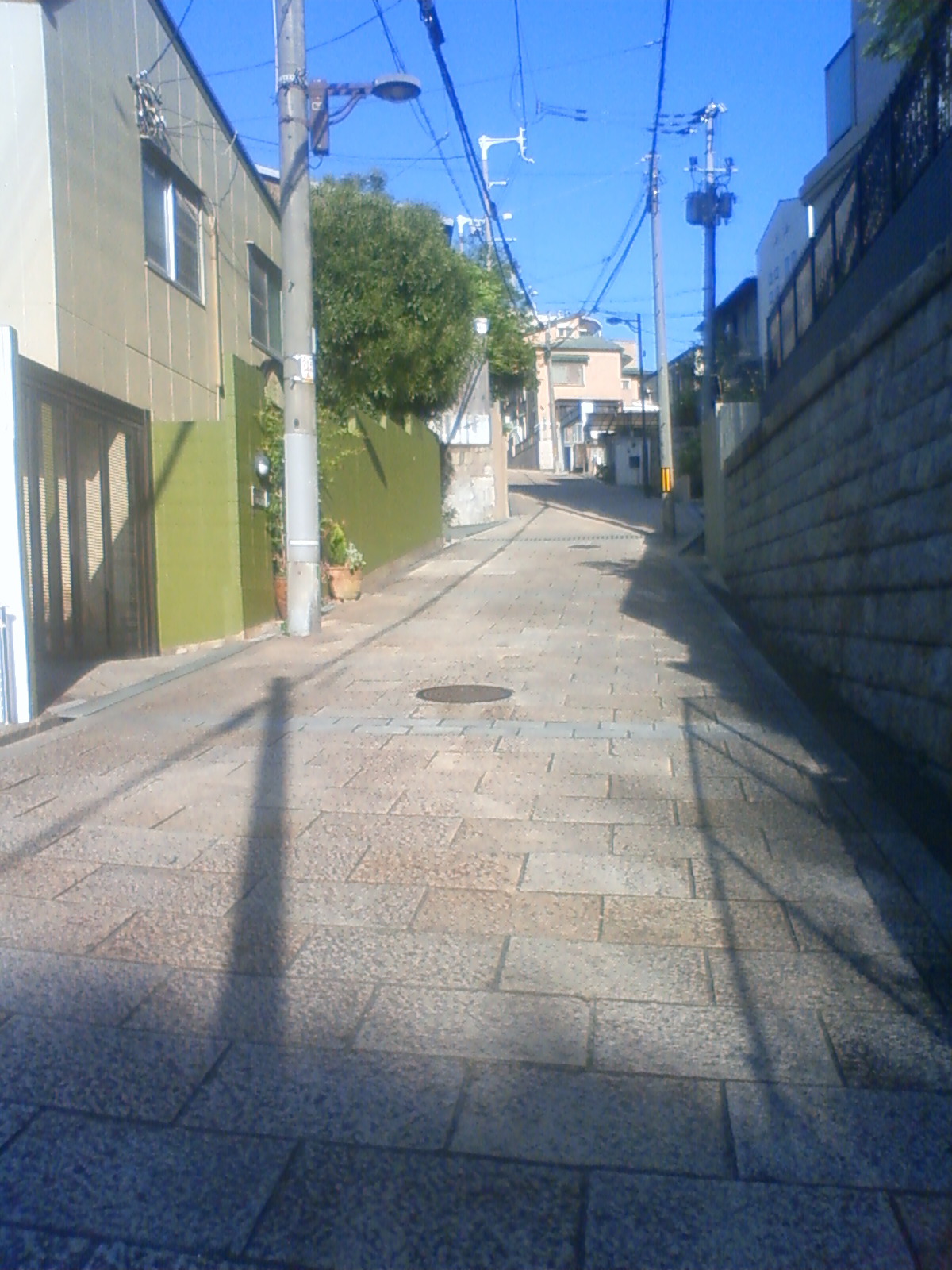 NEC_1108.JPG