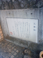 NEC_1109_thumb.png