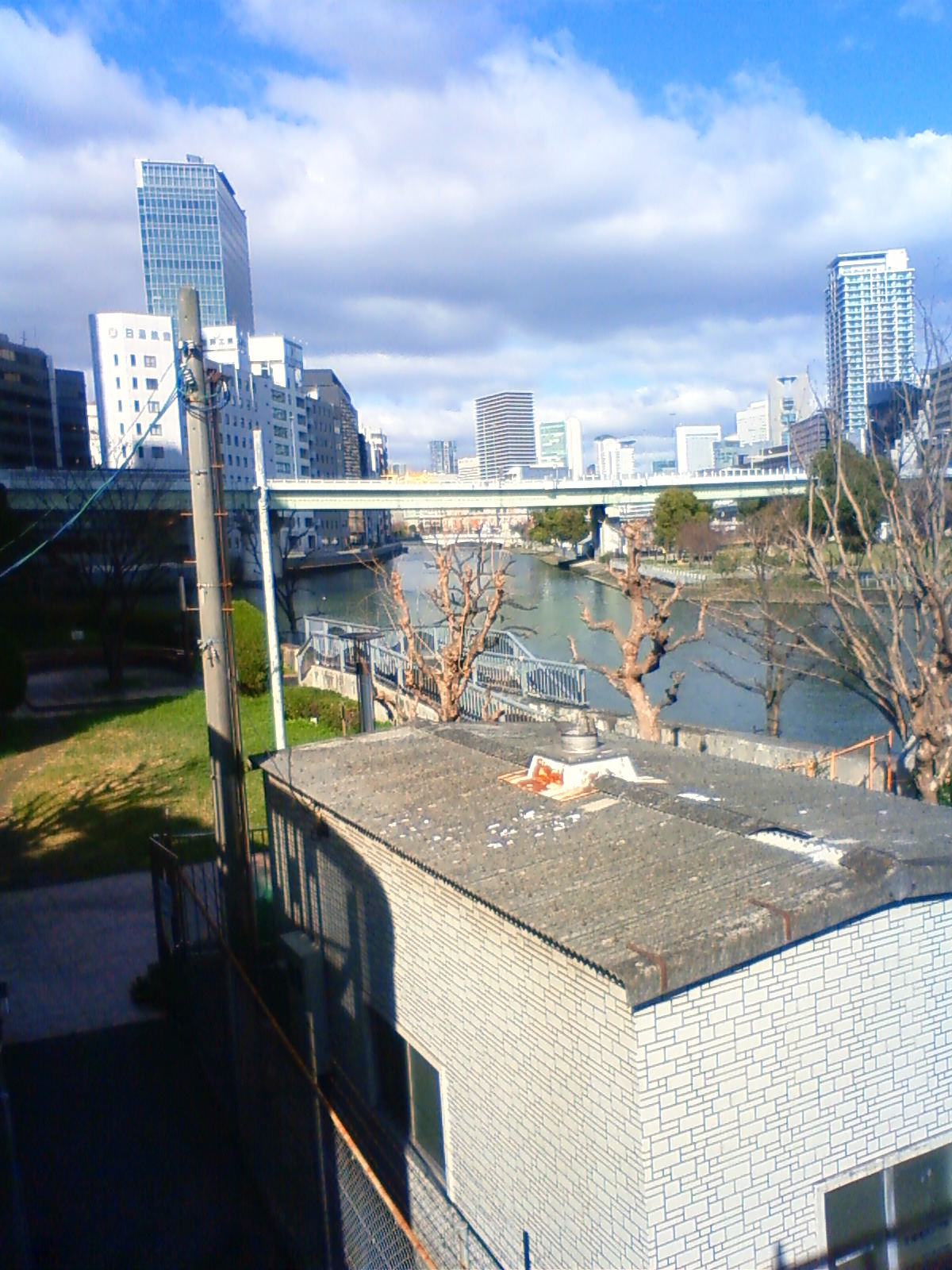 NEC_0182.JPG