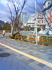 NEC_0190_thumb.png