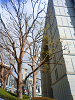 NEC_0192_thumb.png