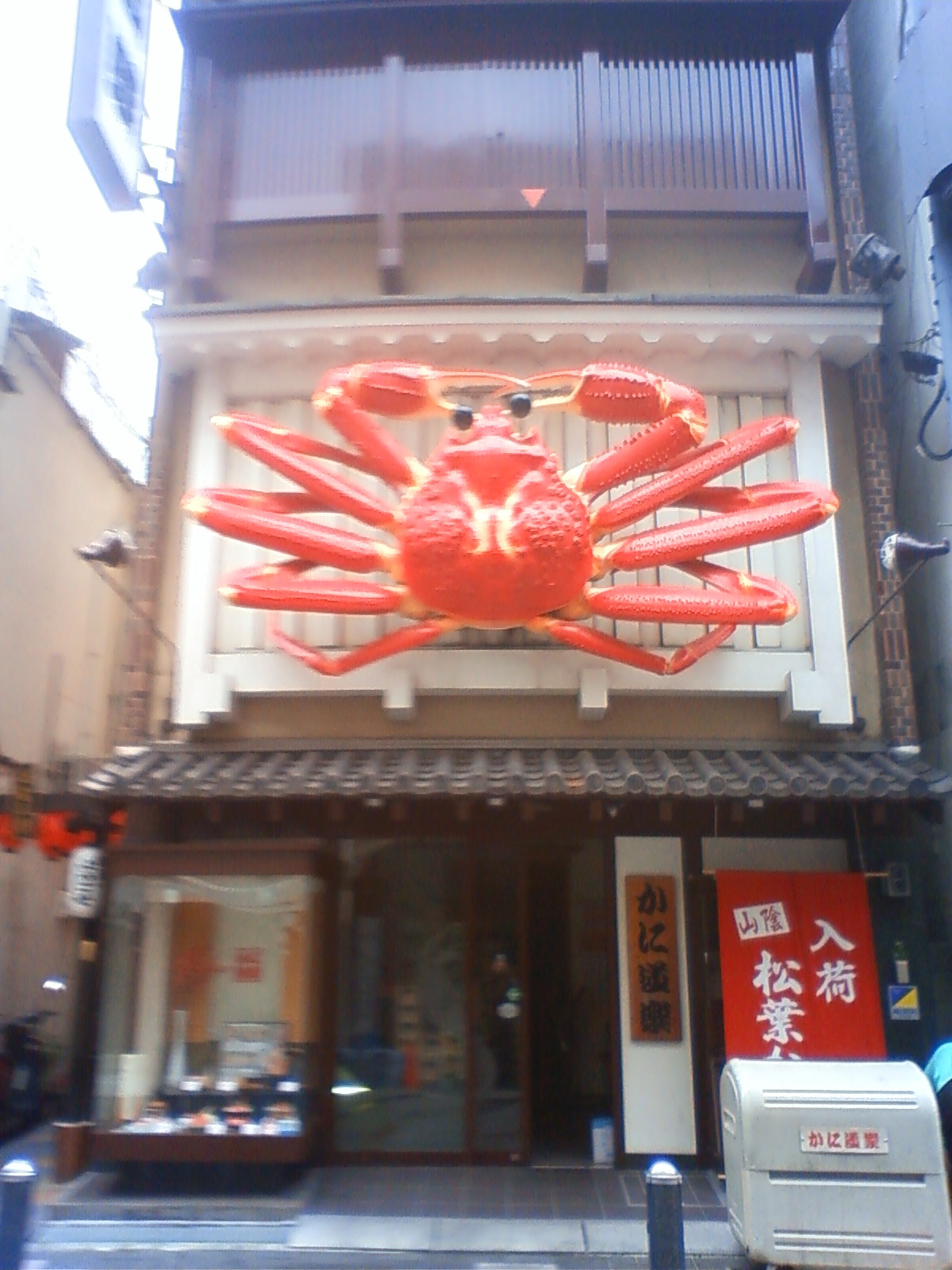 NEC_0202.JPG