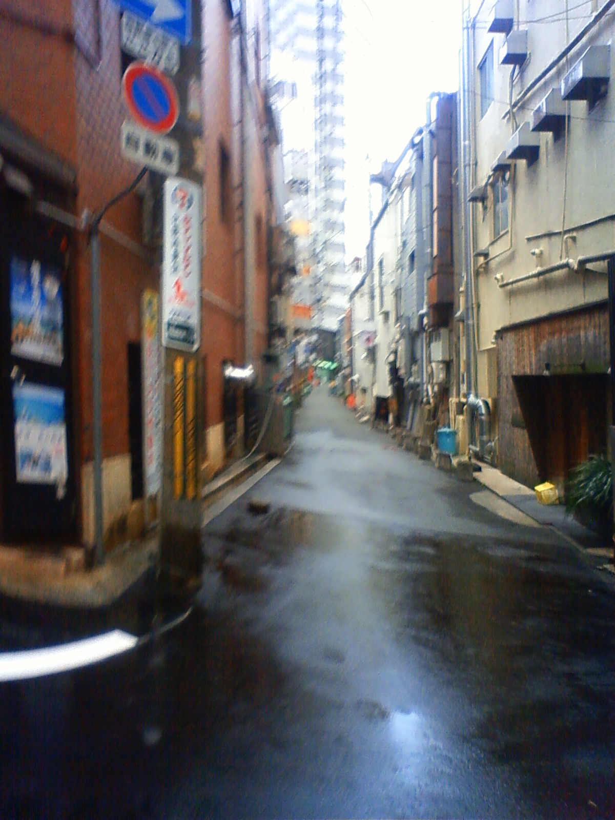 NEC_0203.JPG