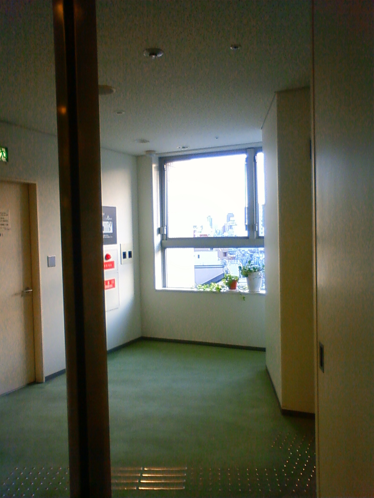 NEC_2103.JPG